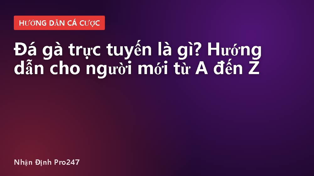 Đá gà trực tuyến là gì? Hướng dẫn cho người mới từ A đến Z